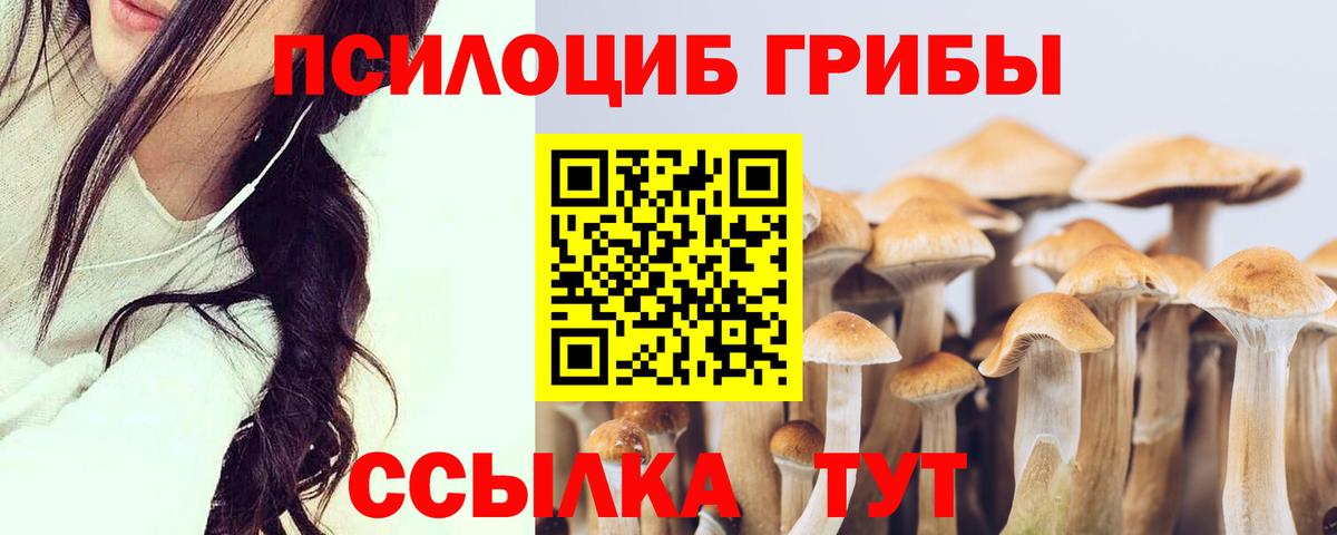 Псилоцибиновые грибы мицелий Асбест